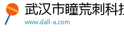 武漢市瞳荒刺科技有限公司